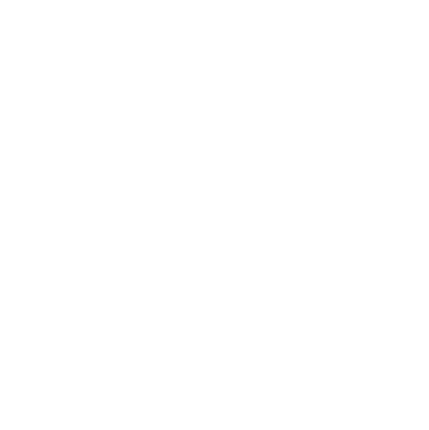 gadebelysning, vejbelysning, LED gadelampe, IP66, klasse II, vejlampe med sensor, intelligent udendørs belysning, energiebesparende belysning, lys til vej, gade, park og plads, Zhaga D4i-certificeret, Kvalitets Belysning i byen, Tunable White 
