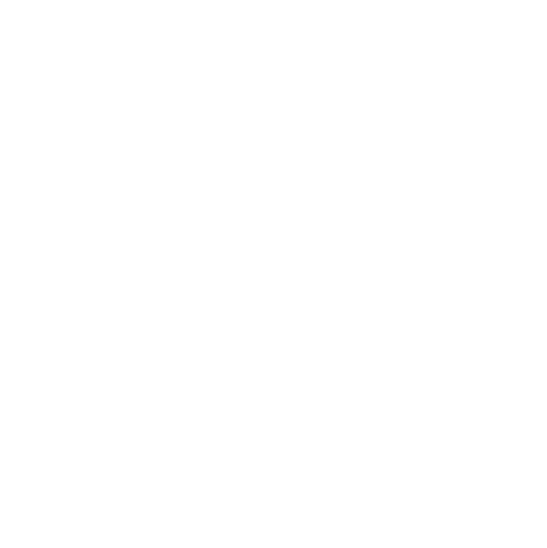 gadebelysning, vejbelysning, LED gadelampe, IP66, klasse II, vejlampe med sensor, intelligent udendørs belysning, energiebesparende belysning, lys til vej, gade, park og plads, Zhaga D4i-certificeret, Kvalitets Belysning i byen, Tunable White 